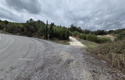 C21 BAL'DAN CİNGE MAH.DE SATILIK MÜSTAKİL EV ve 6 DÖNÜM TARLASI