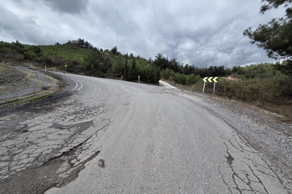 C21 BAL'DAN CİNGE MAH.DE SATILIK MÜSTAKİL EV ve 6 DÖNÜM TARLASI