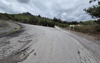 C21 BAL'DAN CİNGE MAH.DE SATILIK MÜSTAKİL EV ve 6 DÖNÜM TARLASI