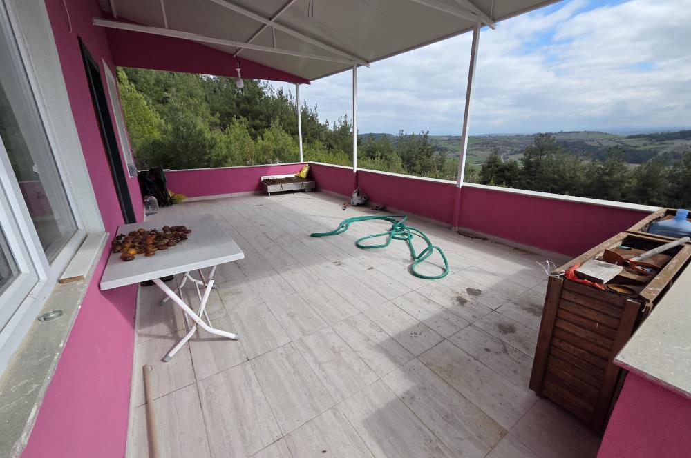 C21 BAL'DAN CİNGE MAH.DE SATILIK MÜSTAKİL EV ve 6 DÖNÜM TARLASI