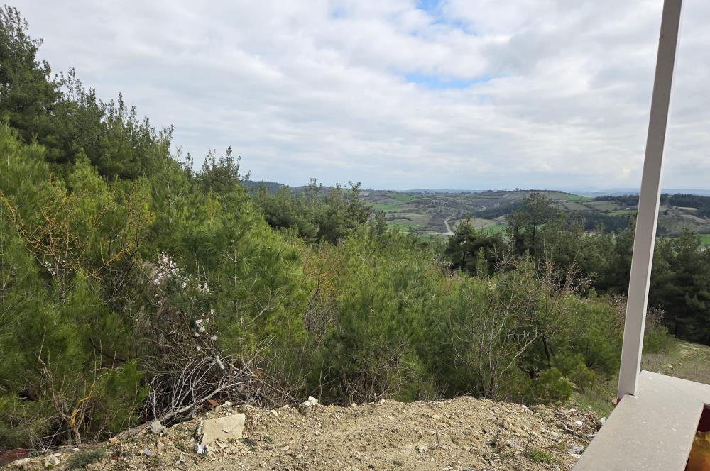 C21 BAL'DAN CİNGE MAH.DE SATILIK MÜSTAKİL EV ve 6 DÖNÜM TARLASI