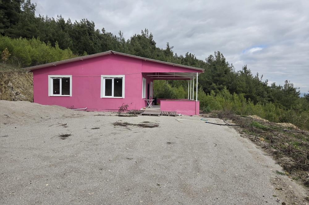 C21 BAL'DAN CİNGE MAH.DE SATILIK MÜSTAKİL EV ve 6 DÖNÜM TARLASI