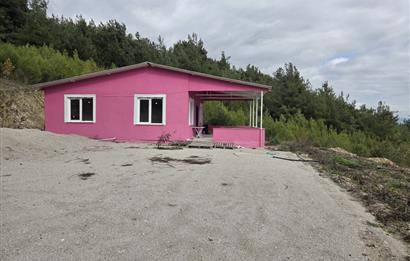 C21 BAL'DAN CİNGE MAH.DE SATILIK MÜSTAKİL EV ve 6 DÖNÜM TARLASI