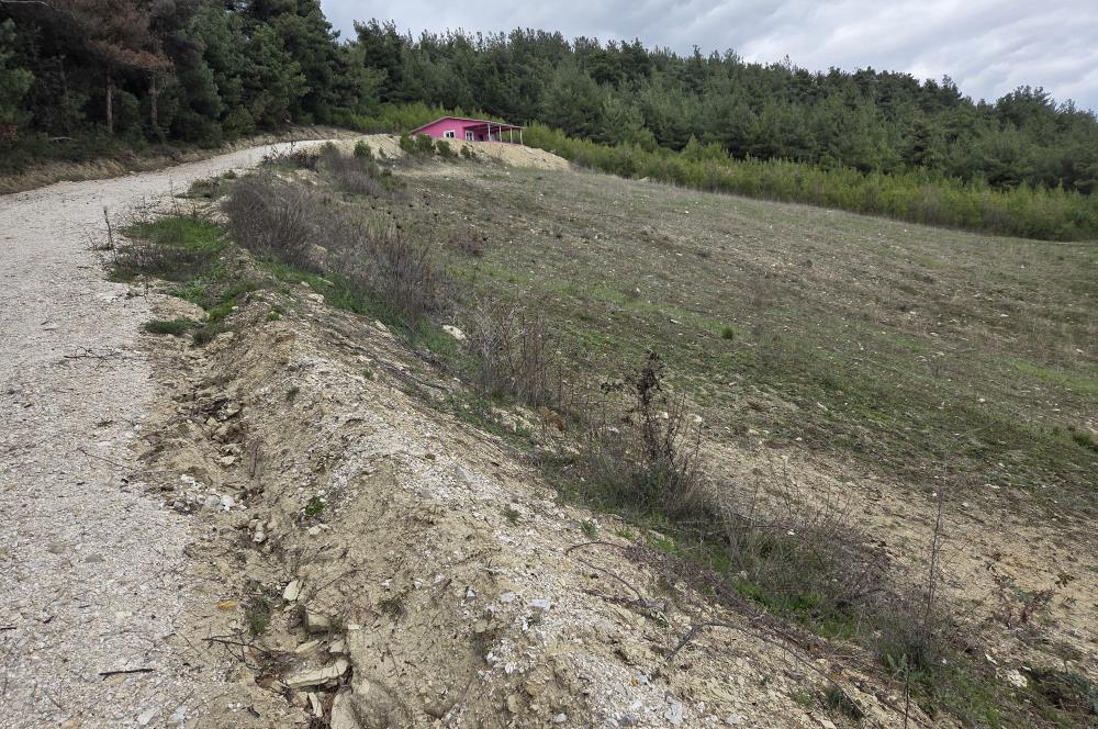 C21 BAL'DAN CİNGE MAH.DE SATILIK MÜSTAKİL EV ve 6 DÖNÜM TARLASI