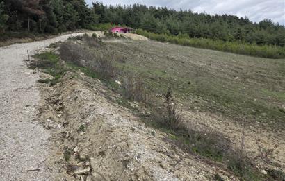 C21 BAL'DAN CİNGE MAH.DE SATILIK MÜSTAKİL EV ve 6 DÖNÜM TARLASI