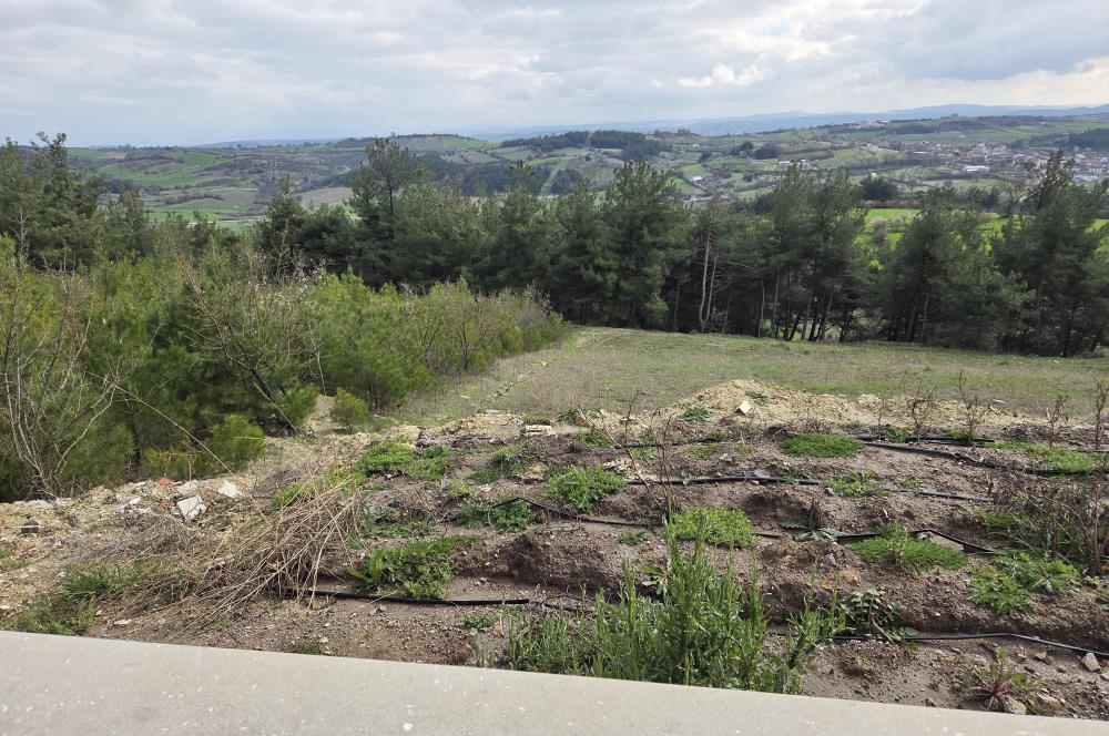 C21 BAL'DAN CİNGE MAH.DE SATILIK MÜSTAKİL EV ve 6 DÖNÜM TARLASI