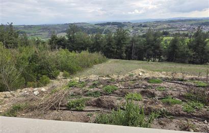 C21 BAL'DAN CİNGE MAH.DE SATILIK MÜSTAKİL EV ve 6 DÖNÜM TARLASI