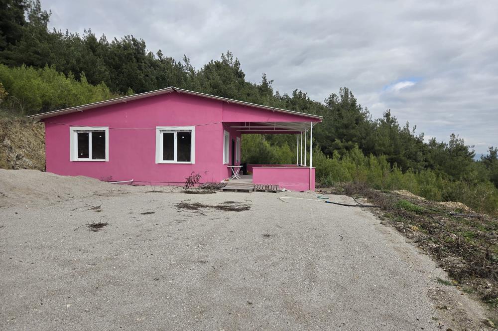 C21 BAL'DAN CİNGE MAH.DE SATILIK MÜSTAKİL EV ve 6 DÖNÜM TARLASI