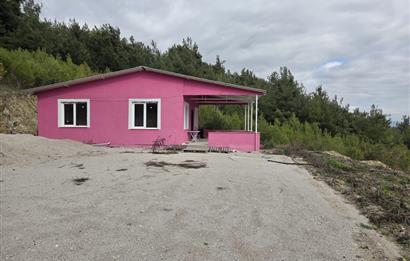 C21 BAL'DAN CİNGE MAH.DE SATILIK MÜSTAKİL EV ve 6 DÖNÜM TARLASI