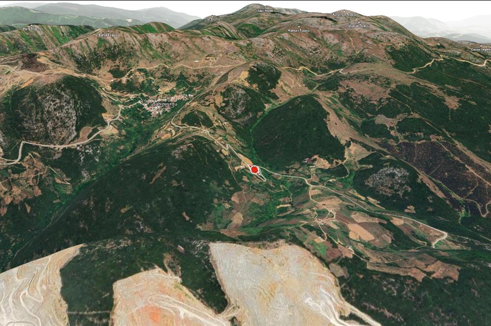 C21 Cius; Asvalta Sıfır 4.120 m2 Bakımlı Masrafsız Zeytinlik