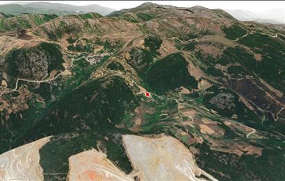 C21 Cius; Asvalta Sıfır 4.120 m2 Bakımlı Masrafsız Zeytinlik