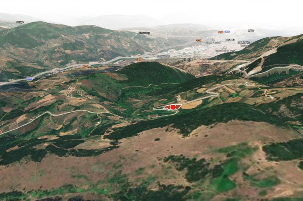 C21 Cius; Asvalta Sıfır 4.120 m2 Bakımlı Masrafsız Zeytinlik