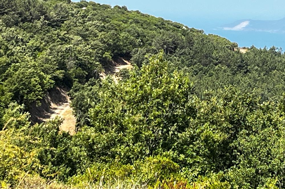 K.Kumla Mah.de Deniz Manzaralı Satılık Tarla