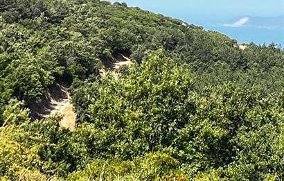 K.Kumla Mah.de Deniz Manzaralı Satılık Tarla