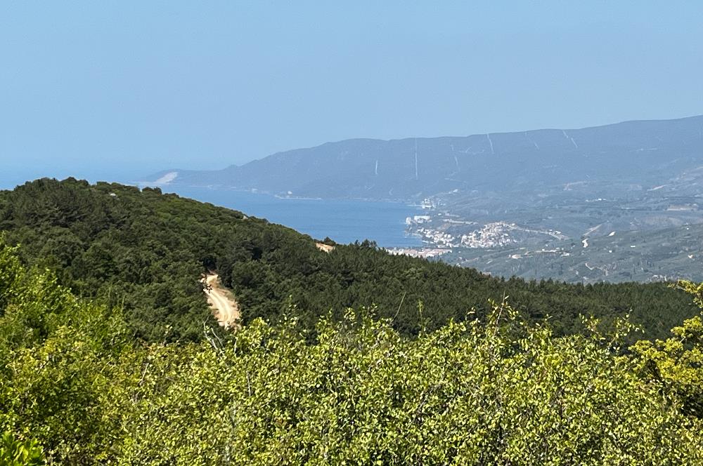 K.Kumla Mah.de Deniz Manzaralı Satılık Tarla