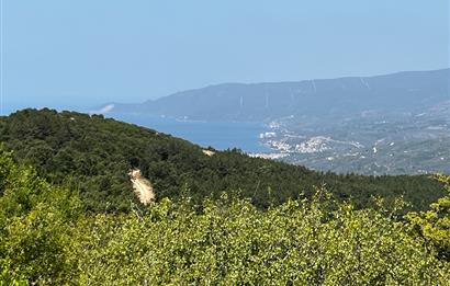 K.Kumla Mah.de Deniz Manzaralı Satılık Tarla