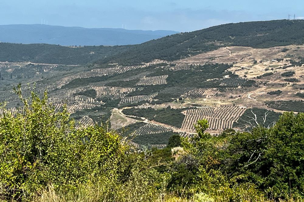 K.Kumla Mah.de Deniz Manzaralı Satılık Tarla