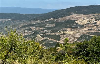 K.Kumla Mah.de Deniz Manzaralı Satılık Tarla