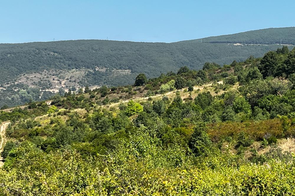 K.Kumla Mah.de Deniz Manzaralı Satılık Tarla