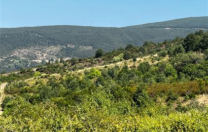 K.Kumla Mah.de Deniz Manzaralı Satılık Tarla