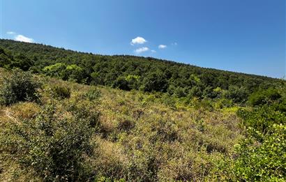 K.Kumla Mah.de Deniz Manzaralı Satılık Tarla