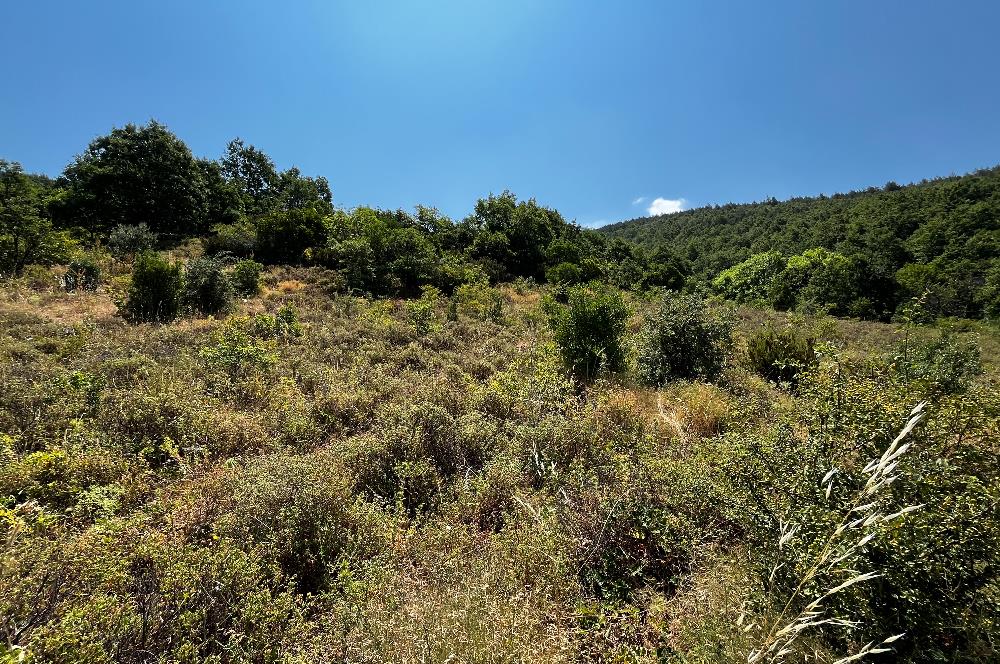 K.Kumla Mah.de Deniz Manzaralı Satılık Tarla