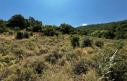 K.Kumla Mah.de Deniz Manzaralı Satılık Tarla