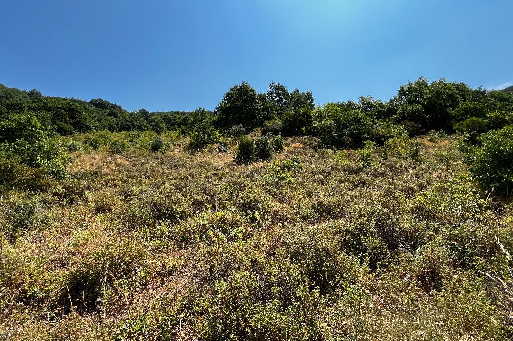 K.Kumla Mah.de Deniz Manzaralı Satılık Tarla