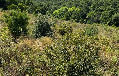 K.Kumla Mah.de Deniz Manzaralı Satılık Tarla