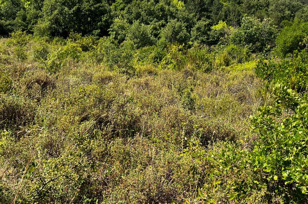 K.Kumla Mah.de Deniz Manzaralı Satılık Tarla