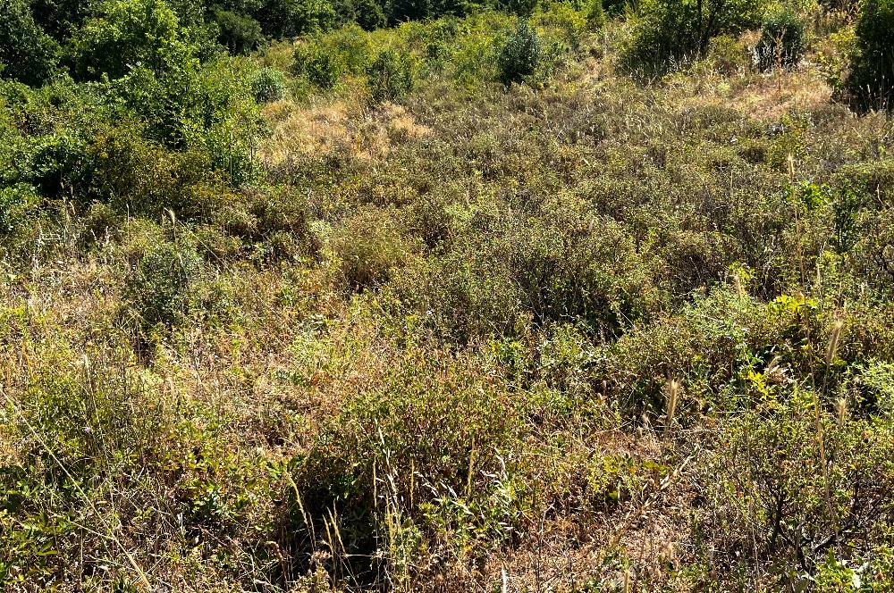 K.Kumla Mah.de Deniz Manzaralı Satılık Tarla