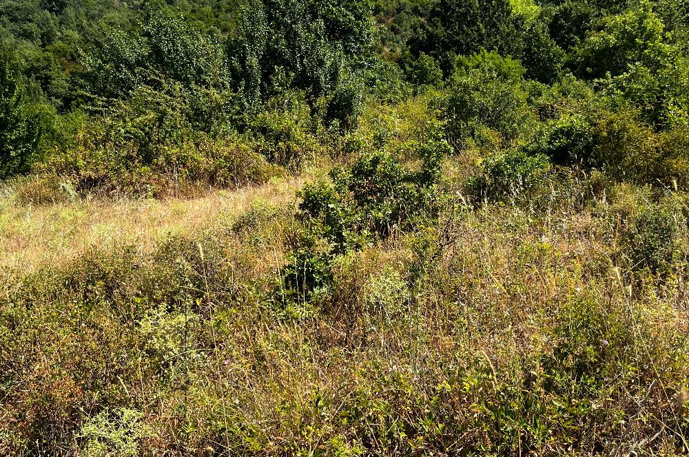 K.Kumla Mah.de Deniz Manzaralı Satılık Tarla