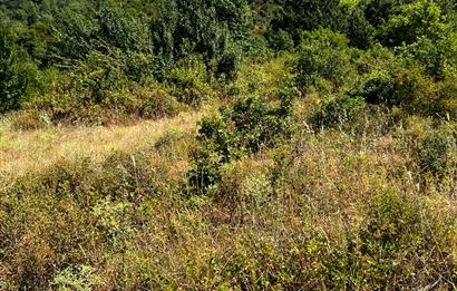 K.Kumla Mah.de Deniz Manzaralı Satılık Tarla