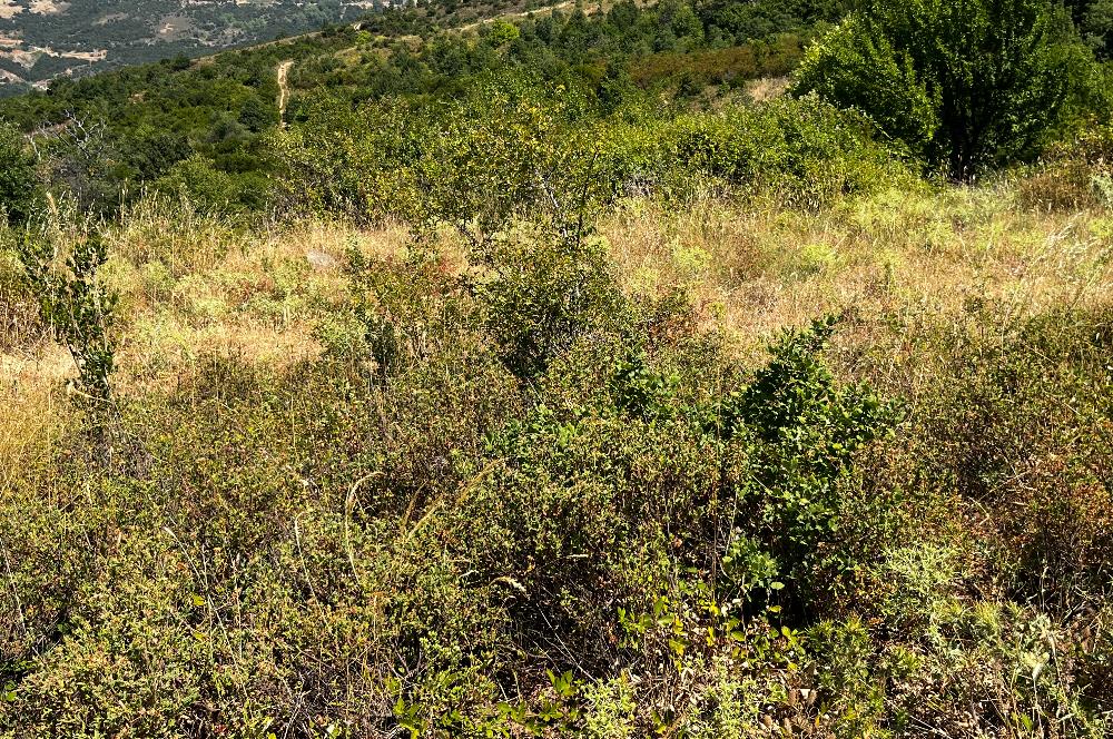 K.Kumla Mah.de Deniz Manzaralı Satılık Tarla