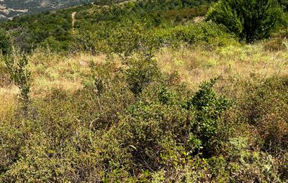 K.Kumla Mah.de Deniz Manzaralı Satılık Tarla