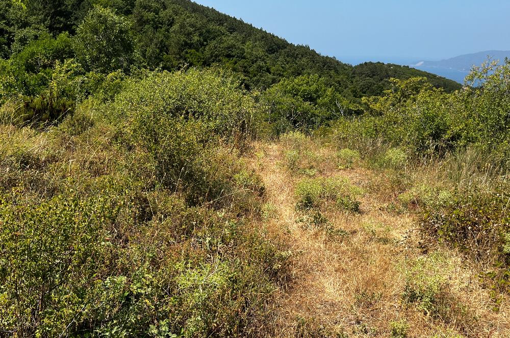 K.Kumla Mah.de Deniz Manzaralı Satılık Tarla