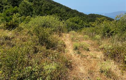 K.Kumla Mah.de Deniz Manzaralı Satılık Tarla