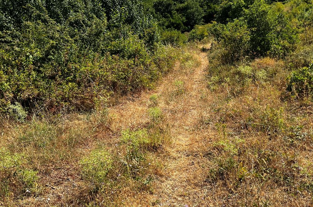 K.Kumla Mah.de Deniz Manzaralı Satılık Tarla