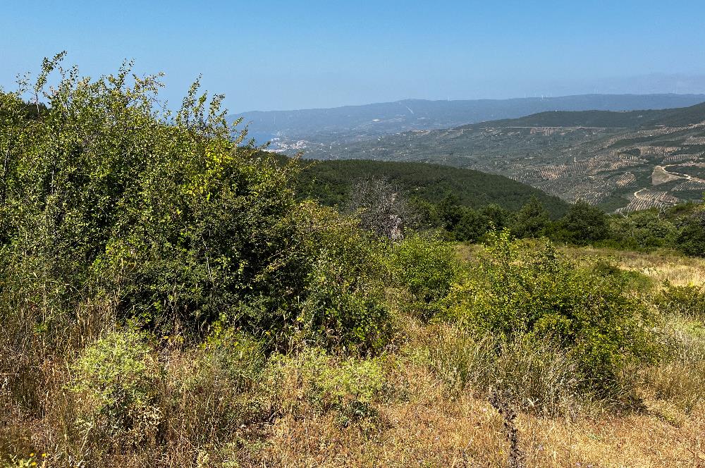 K.Kumla Mah.de Deniz Manzaralı Satılık Tarla