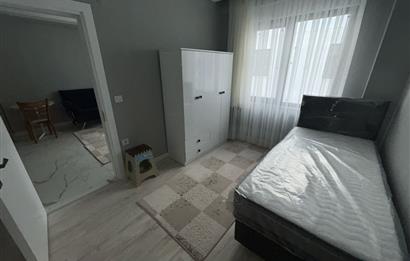 C21 BAL'DAN GOP'TA SIFIR EŞYALI, SIFIR 1+1 DAİRE