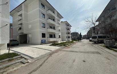 C21 BAL'DAN GOP'TA SIFIR EŞYALI, SIFIR 1+1 DAİRE