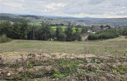 C21 BAL'DAN CİNGE MAH.DE SATILIK MÜSTAKİL EV ve 6 DÖNÜM TARLASI