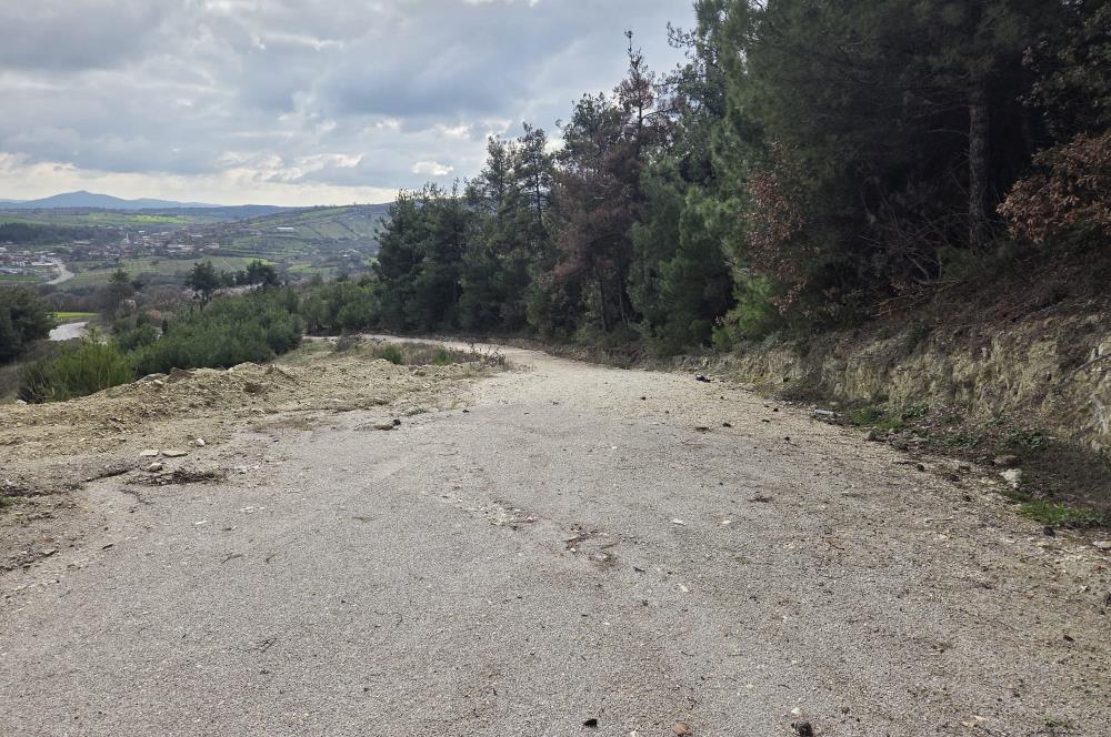 C21 BAL'DAN CİNGE MAH.DE SATILIK MÜSTAKİL EV ve 6 DÖNÜM TARLASI