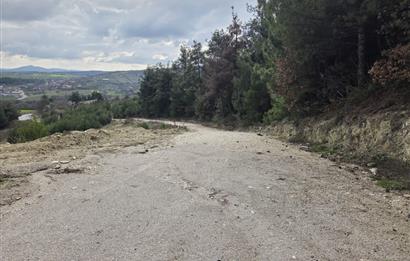 C21 BAL'DAN CİNGE MAH.DE SATILIK MÜSTAKİL EV ve 6 DÖNÜM TARLASI