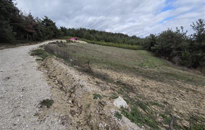 C21 BAL'DAN CİNGE MAH.DE SATILIK MÜSTAKİL EV ve 6 DÖNÜM TARLASI