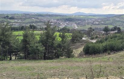 C21 BAL'DAN CİNGE MAH.DE SATILIK MÜSTAKİL EV ve 6 DÖNÜM TARLASI