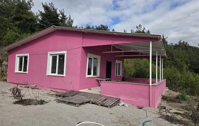 C21 BAL'DAN CİNGE MAH.DE SATILIK MÜSTAKİL EV ve 6 DÖNÜM TARLASI