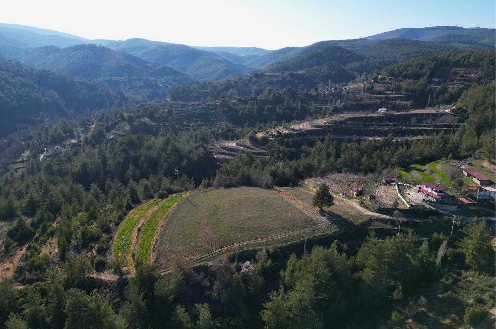 MUĞLA KAVAKLIDERE MENTEŞE MAHALLESİNDE 9.947 m² İMARLI ARSA