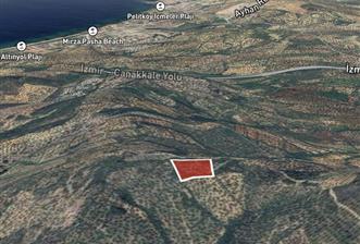 C21 BAL DAN GÖMEÇ KARAAĞAÇTA SATILIK 4661 M2 ZEYTİNLİK - 2 - 32658