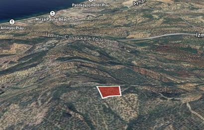 C21 BAL DAN GÖMEÇ KARAAĞAÇTA SATILIK 4661 M2 ZEYTİNLİK